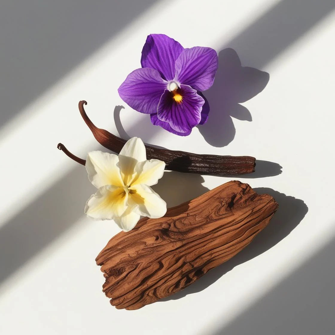 FULL OF OUD - Niche | Voor Heren & Dames