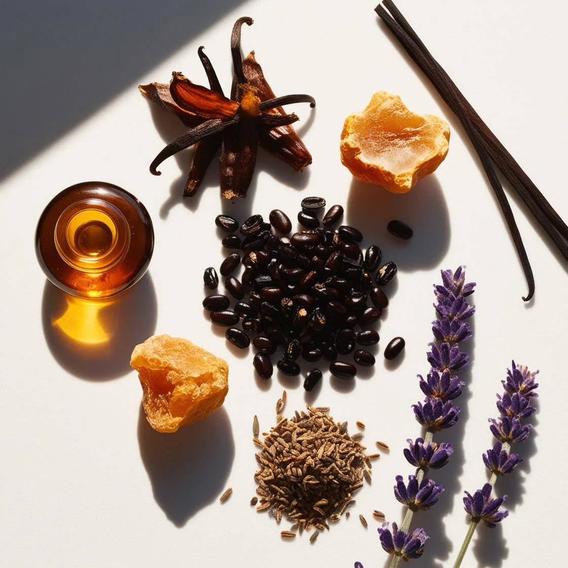 AMBER SOIR - Niche | Voor Heren & Dames